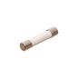 Fusível 110V para Microondas - W10313483