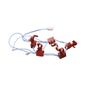 Interruptor da Ignição para Cooktop Brastemp - W10648970