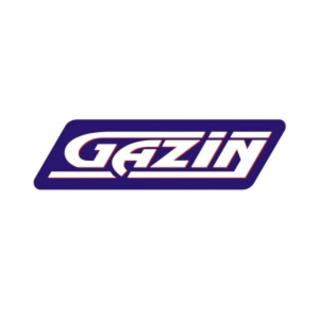 Gazin